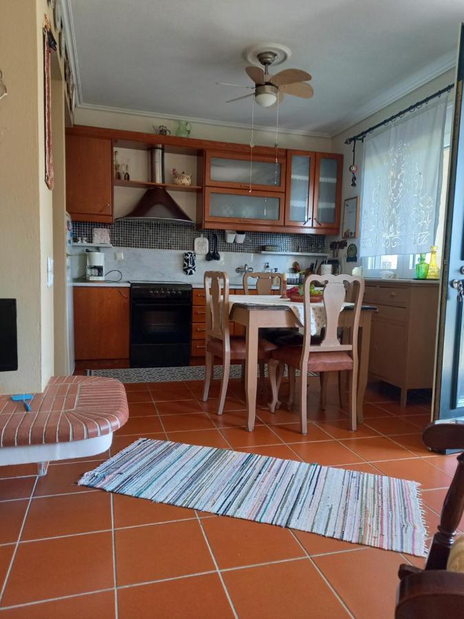 Evelina - Home With View Волос Номер фото